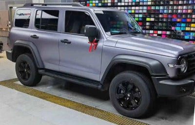 Satin Metallic carbon gray