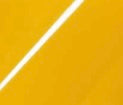Glossy Sunflower Yellow