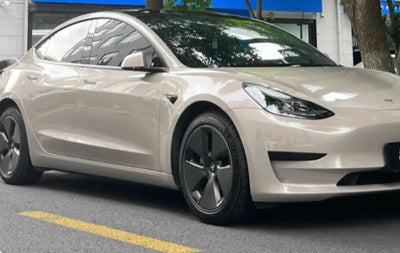 Metallic coffee beige