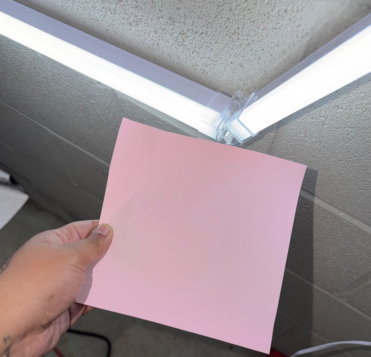 Pink Prism PPF