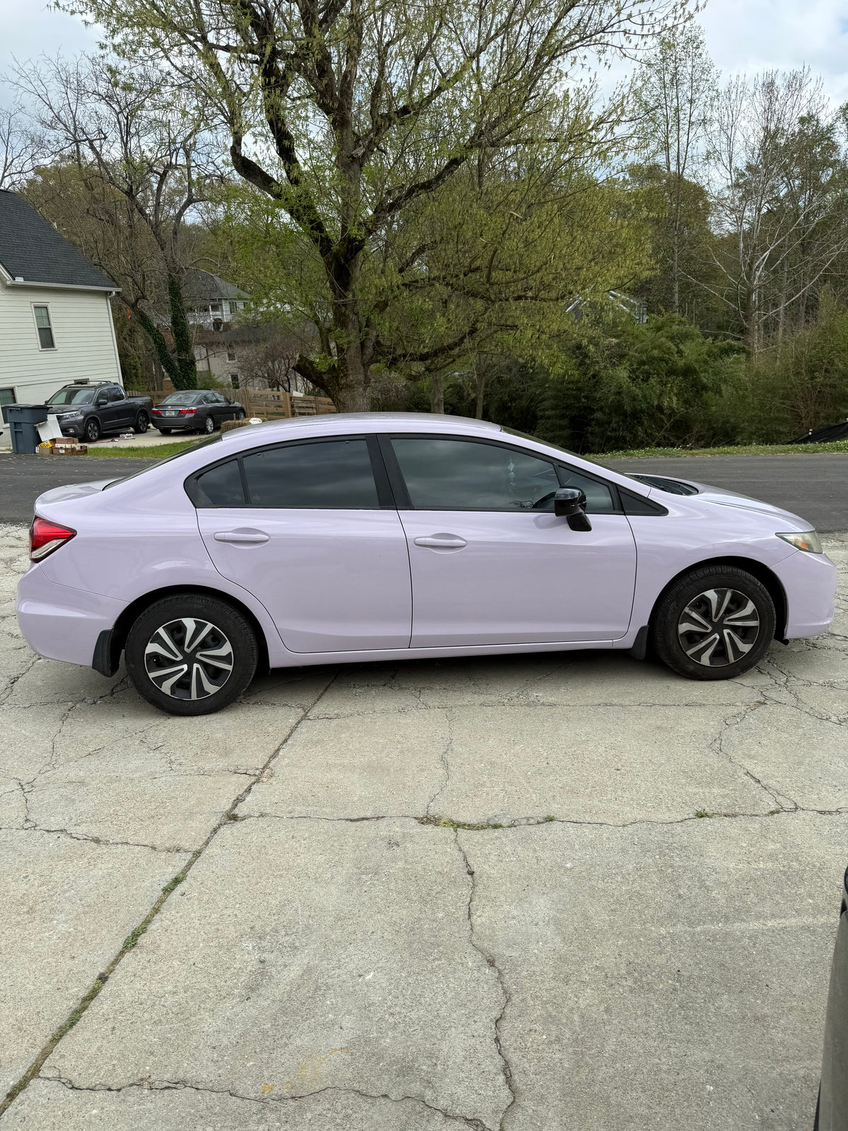 Deluxe Lilac