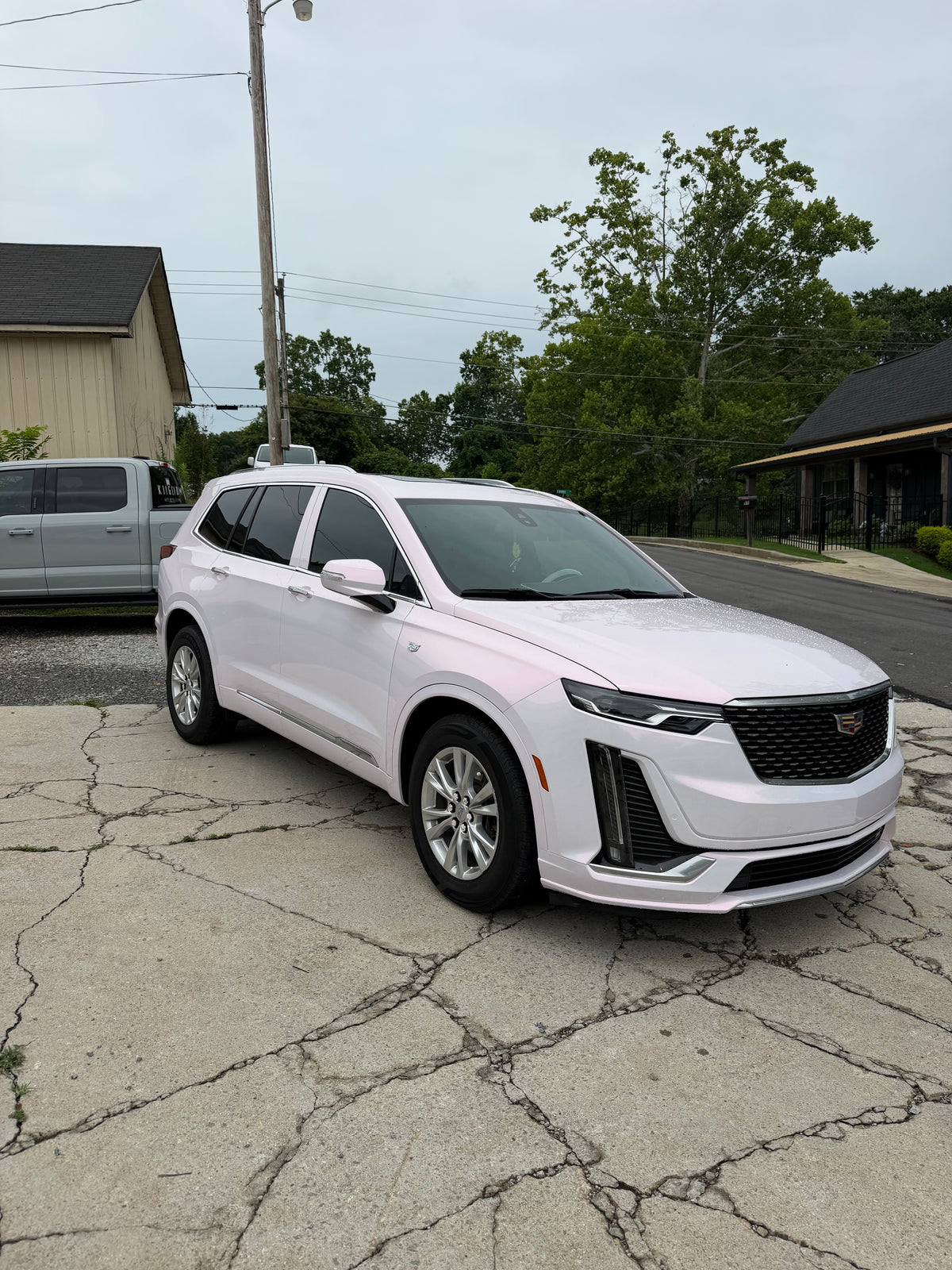 Gloss Pearl Shift Pink