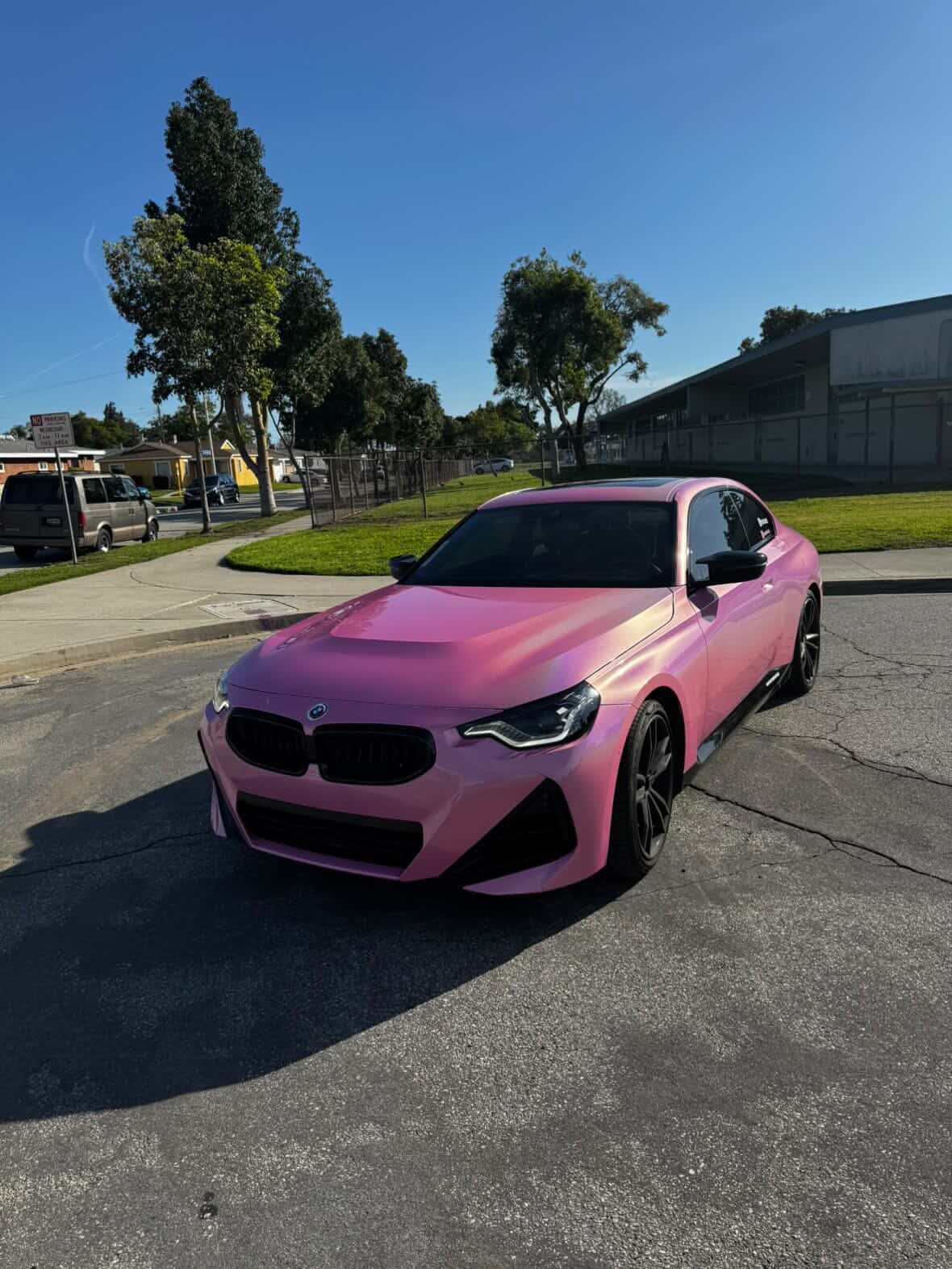 Holographic Metallic pink