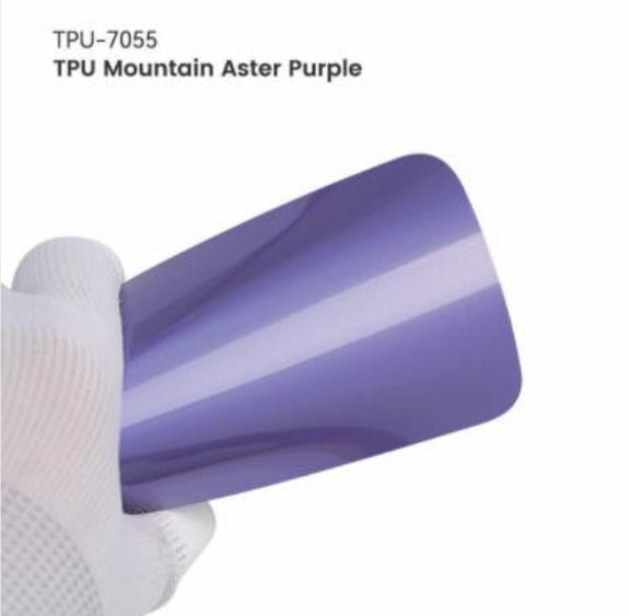 Mountain Aster Purple PPF
