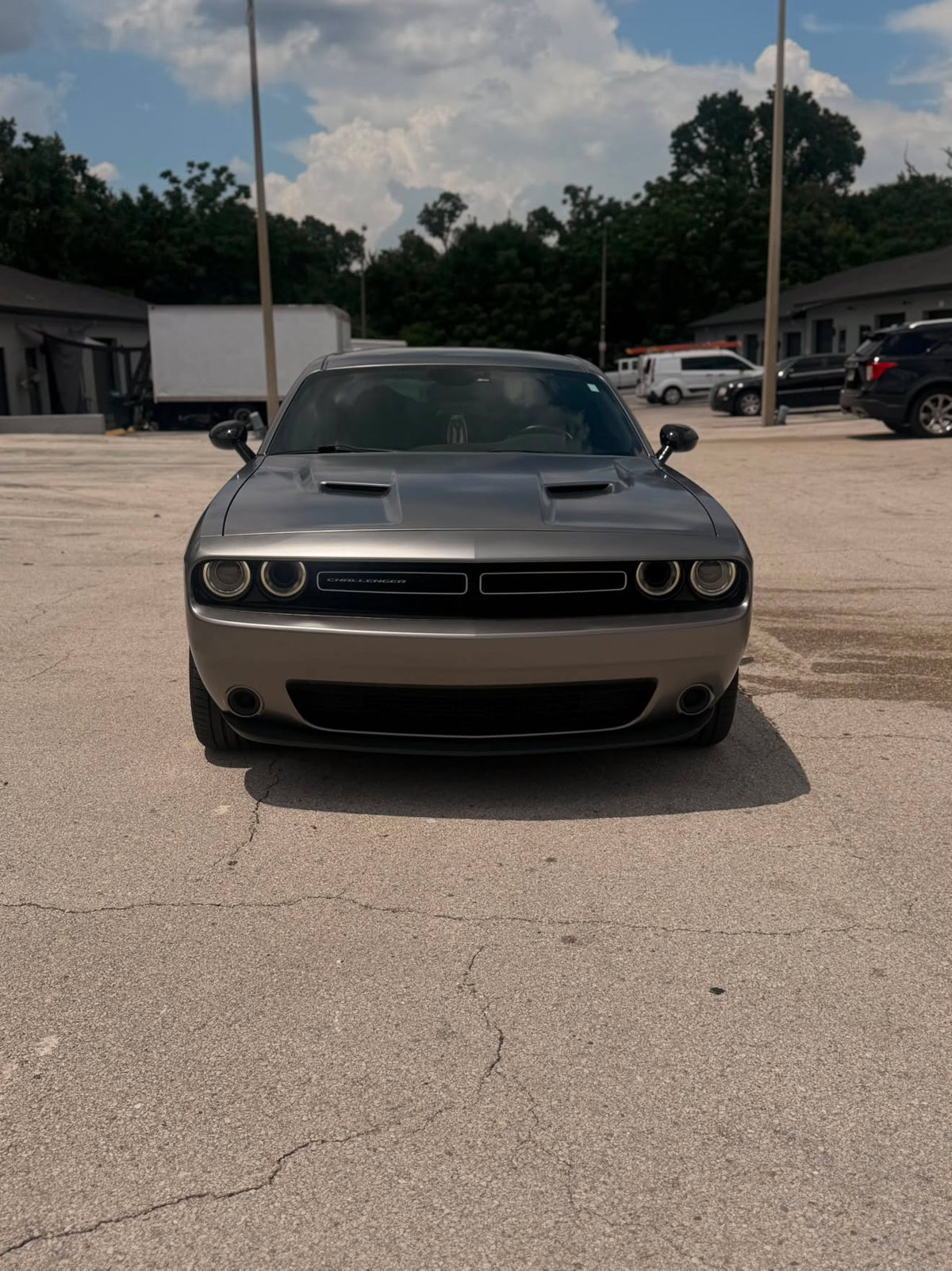 Matte Metallic Selenite Grey