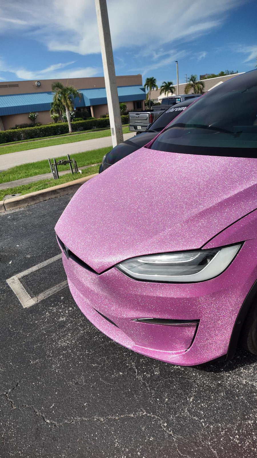 Ultra Dark Pink Glitter