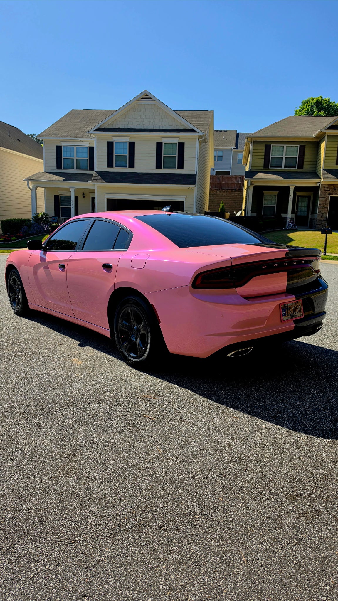 Fantastic pink