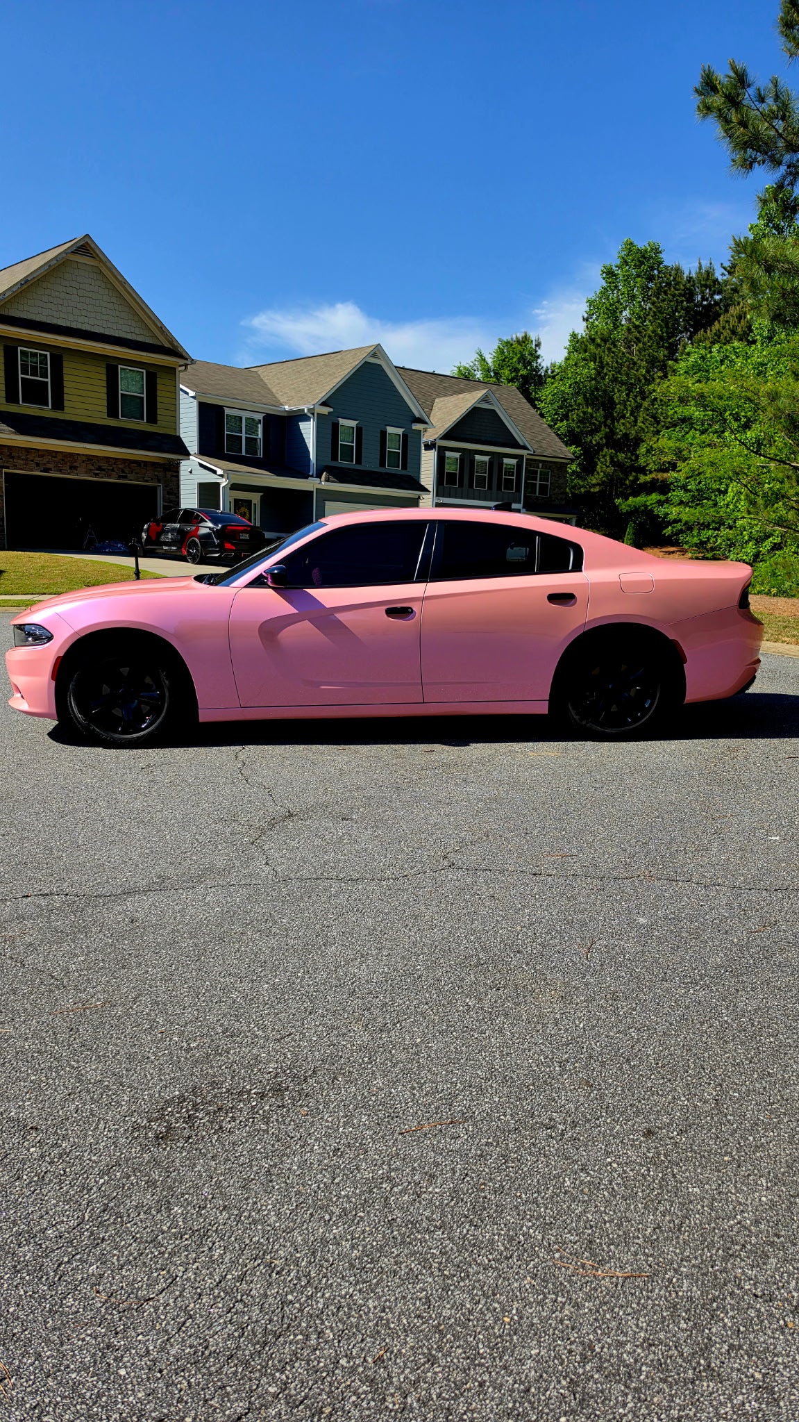 Fantastic pink