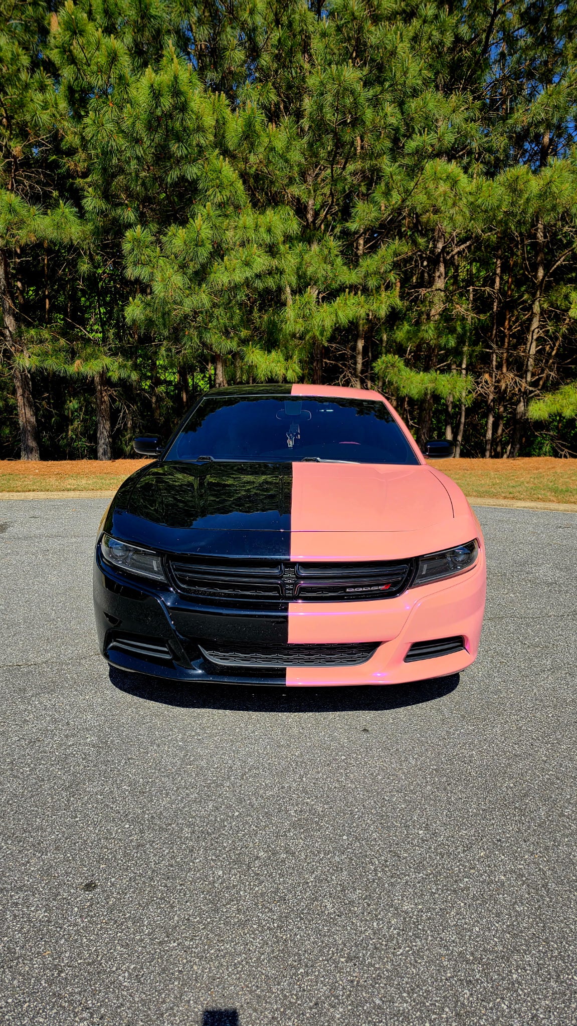 Fantastic pink