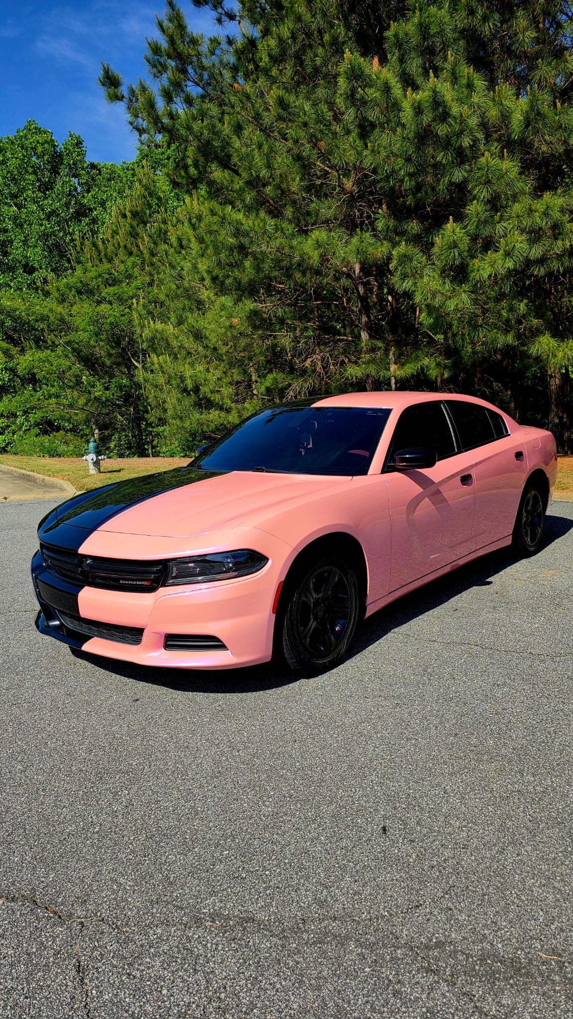 Fantastic pink