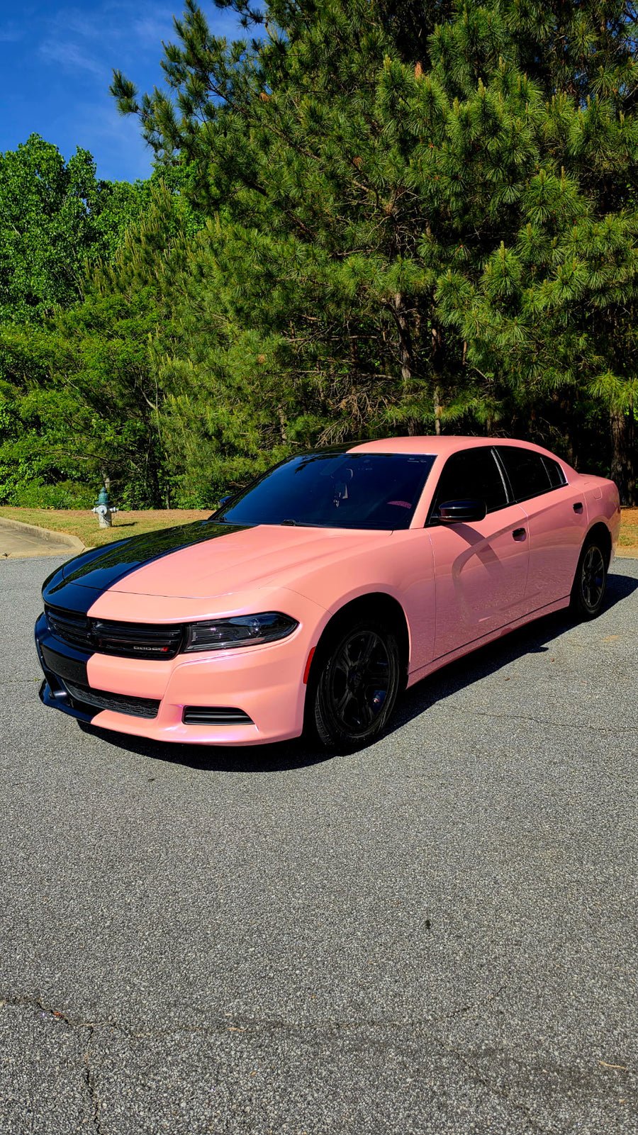 Fantastic pink
