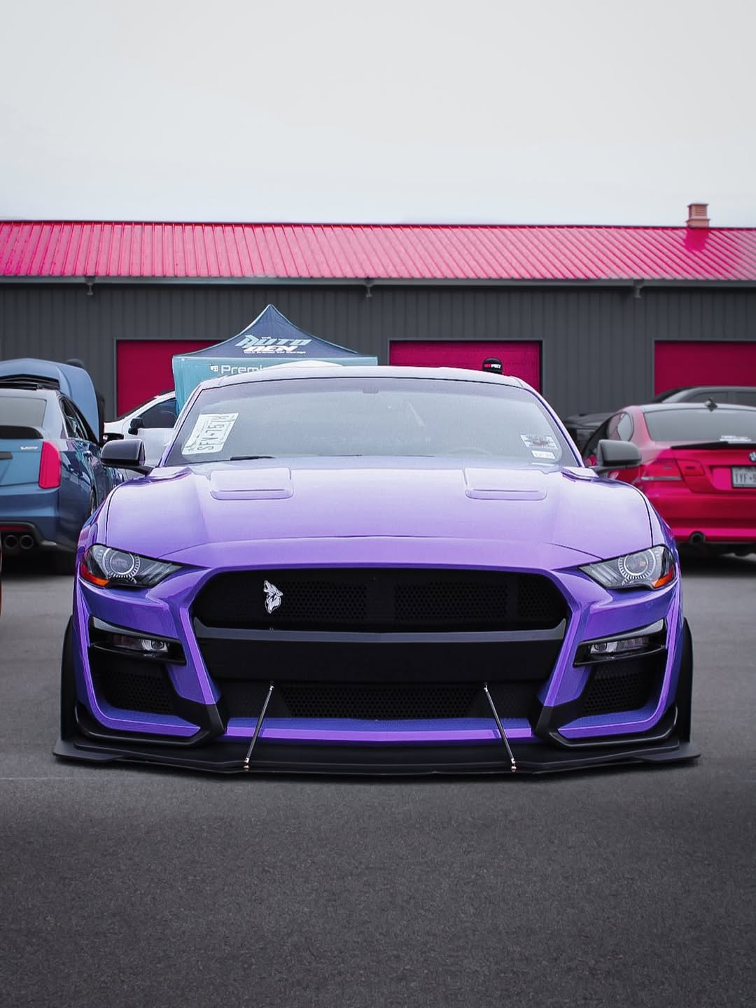 PURPLE WRAP 5.0
